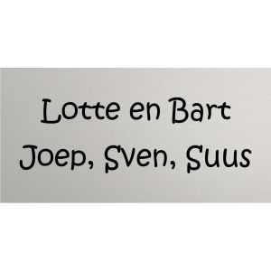 AMAT10 Naambordje voordeur aluminium mat 24x12cm