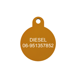 DP-6 rond goud